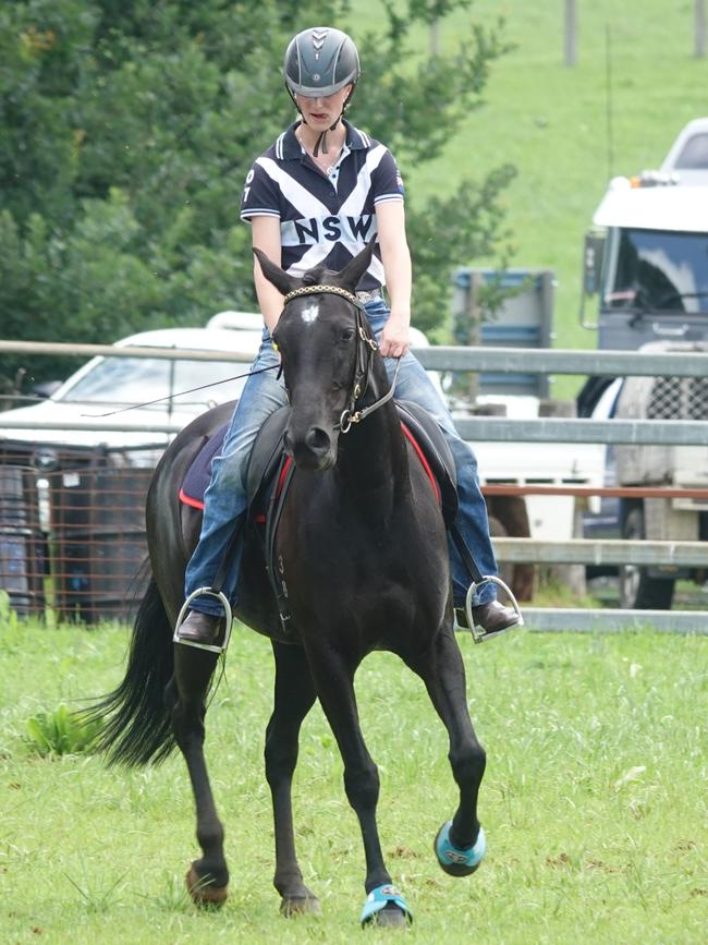 Dorrigo Show, November 24, 2023. Picture: Chris Knight