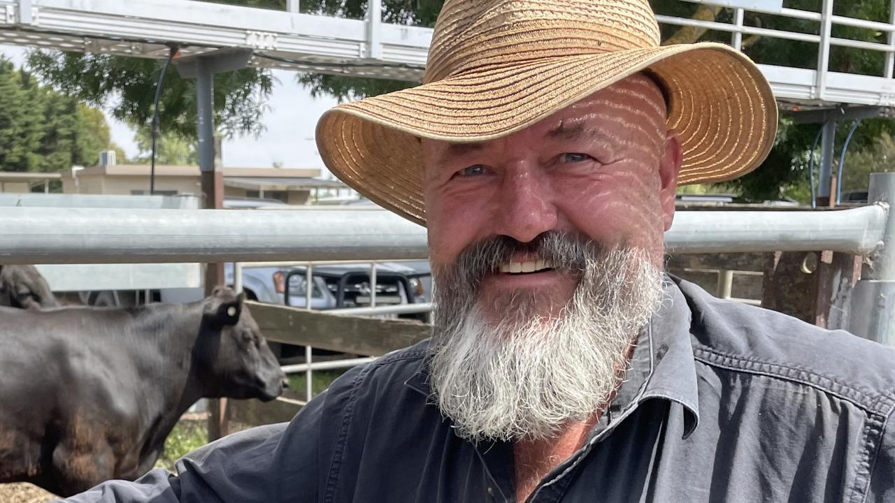 Kyneton store cattle: Small Christmas yarding sells firm | The Weekly Times