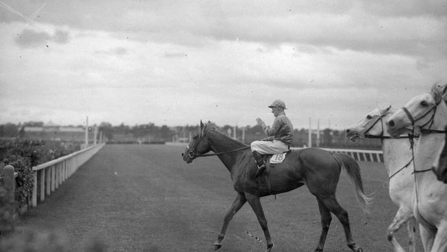 Peter Pan, winner of the 1934 Melbourne Cup.