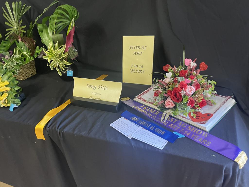 Fun was had at the Fraser Coast Show.