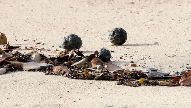 SYDNEY, AUSTRALIA - NewsWire Photos OCTOBER 16, 2024: Suspected tar balls that have washed up on Coogee Beach. Coogee Beach has been closed until further after mysterious, black, ball-shaped debris was located washed along the length of the beach.Picture: NewsWire / Damian Shaw