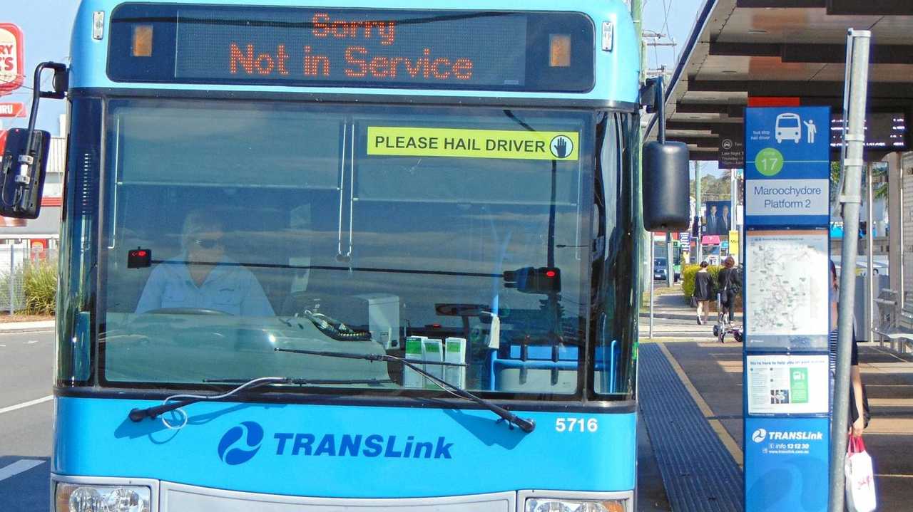 are dogs allowed on translink buses