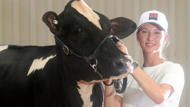 Junior Champion Heifer – Senior Leader, won by Dekota Hindmarsh, 18, from Gowra, NSW, with Cumberoona Sidekick Fairy.