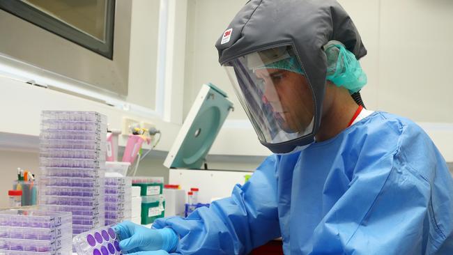 Dr Patrice Guillon at work. Picture: Tertius Pickard