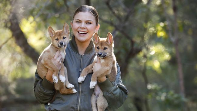 Australian Reptile Park mammals keeper Imogen Melder with the park’s new dingo pups Bluey and Bandit. Picture: Richard Dobson