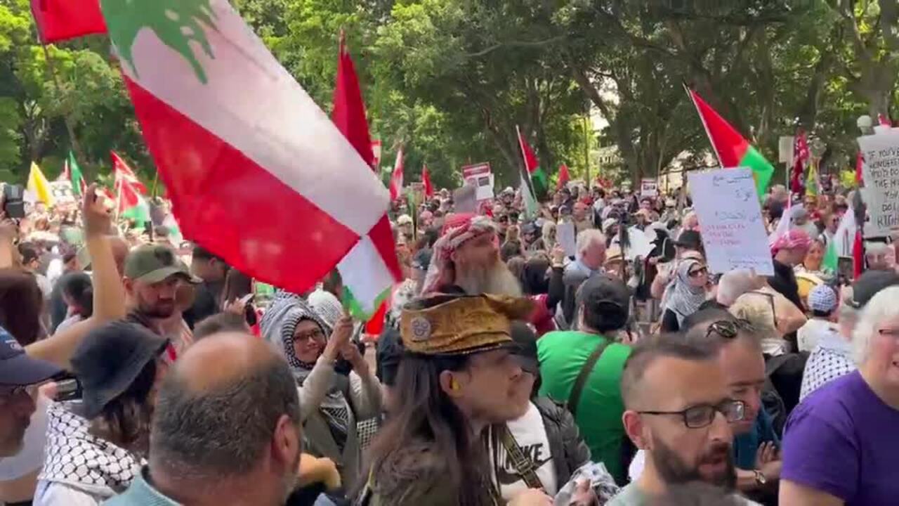 Thousands attend pro-Palestine rally