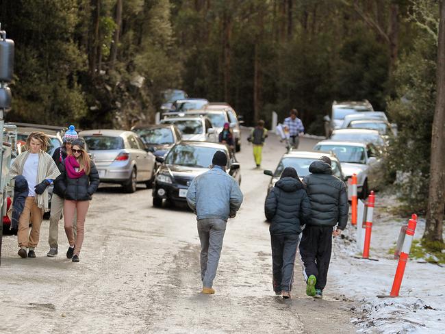 Visitors begin the walk up Pinnacle Rd from The Springs after the road was closed.