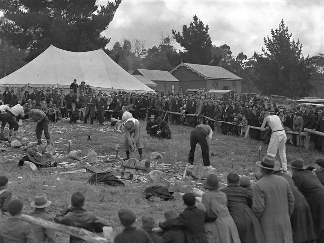 Crowds gather around the Bream Creek Show wood chopping arena in 1936. Picture: Mercury Historical Archive