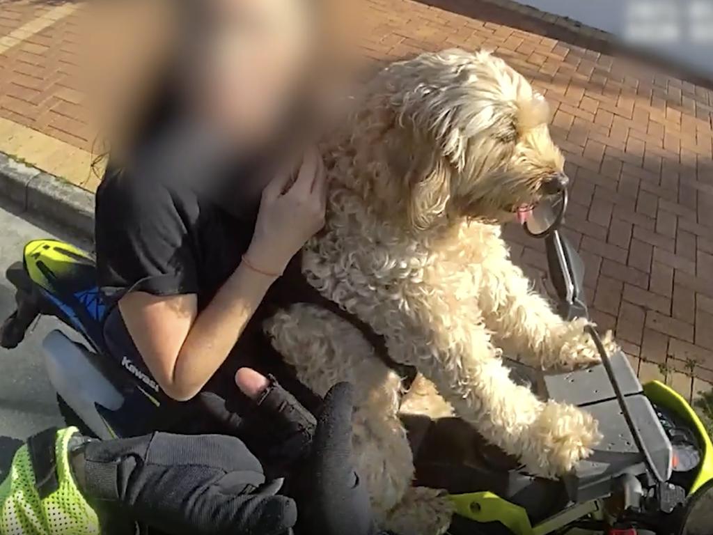 The woman told police she bought the harness affixing the dog to her chest ‘off Temu’.