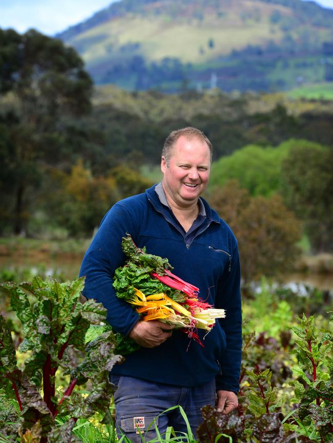 Mixed crops: David Tatman among his organic rainbow chard at Navigators near Ballarat.