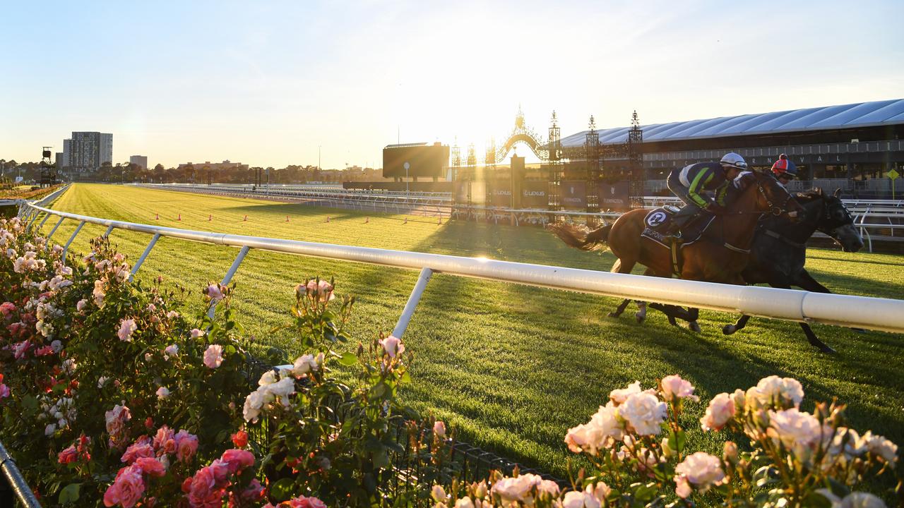 Horses during a trackwork session at Flemington Racecourse. Picture: Vince Caligiuri/AAP