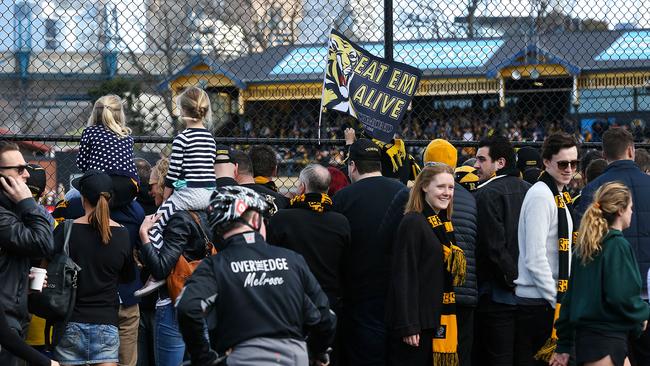 Tigers fans went to great lengths to watch their beloved team train after being locked out from the oval. Picture: Ian Currie