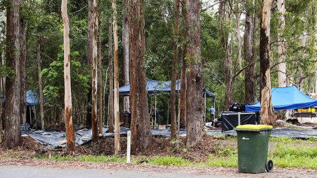 The scene at Day 5 of the William Tyrrell search near Kendall, less than 1km from where he was last seen. Picture: Peter Lorimer