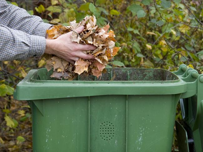 The start of autumn is an ideal time for a garden clean up.