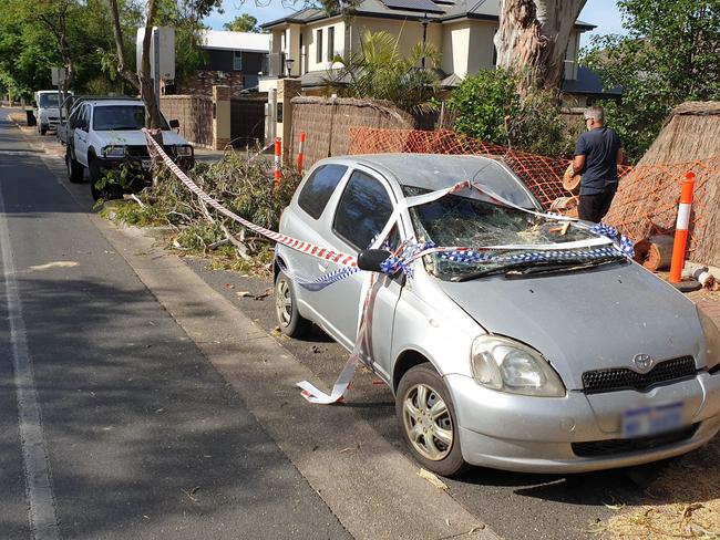 A river red gum dropped a branch crushing a car and fence on Glynburn Rd,Kensington Park. Picture: Renato Castello