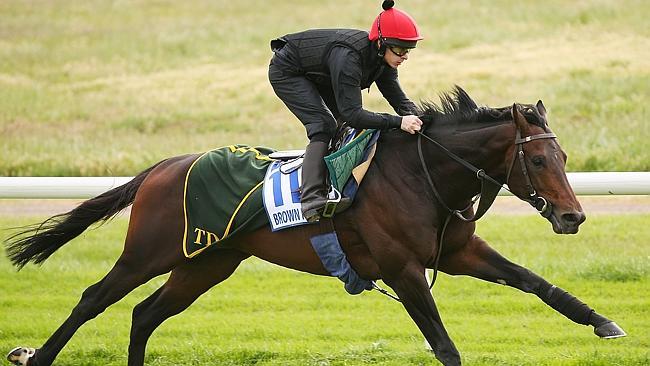 Brown Panther stretches out with Andrew Jackson aboard during trackwork at Werribee. Picture: Getty Images