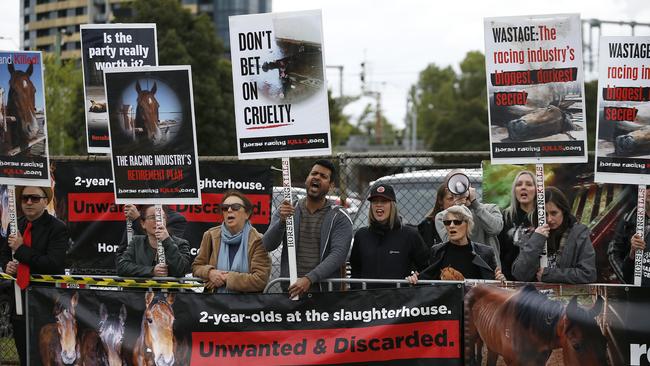 The ABC report has led to protests at racecourses in recent weeks. Picture: Daniel Pockett/Getty Images