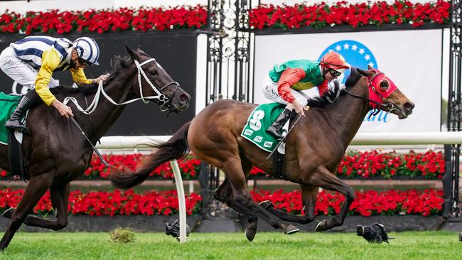 Zayydani wins the TAB Matriarch Stakes at Flemington on November 6.