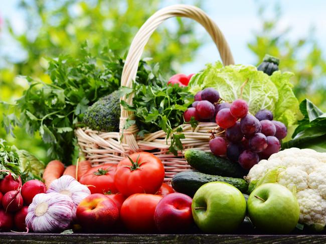 Variety of fresh organic vegetables in the garden.