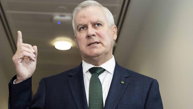 Deputy Prime Minister Michael McCormack. Picture: NCA NewsWire/Gary Ramage