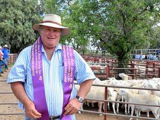 LAMB GROWER: Prolific prime lamb competition winner Peter Hood in front of some winning lambs. The Dry As A Bone columnist is interested in the same industry. Picture: Michael Nolan