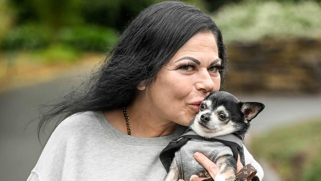 Million Paws Walk at Adelaide Botanic Gardens. Picture: Brenton Edwards