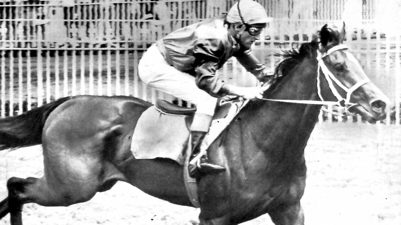 Racehorse McGinty ridden by jockey Bobby Vance, undated              
Turf A/CT