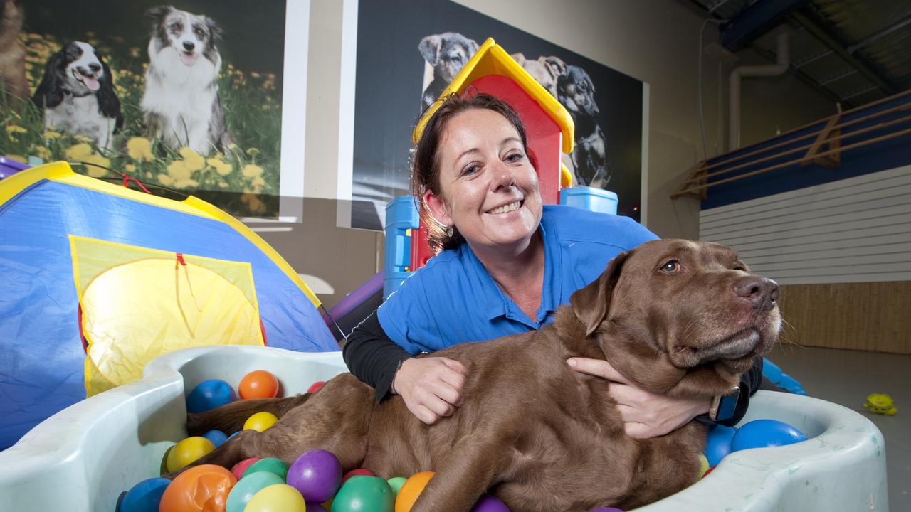 Blue Moon Pet Services has been listed for sale by the owner as a result of the company owing tens of thousands of dollars in superannuation to its employees. Picture: Cormac Hanrahan