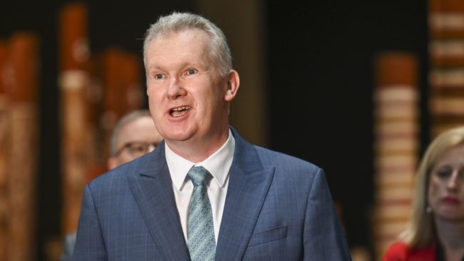 Arts Minister Tony Burke said he would work with Mr Paech and South Australia Arts Minister Andrea Michaels to get the “best outcome”. Pic: NCA NewsWire / Martin Ollman