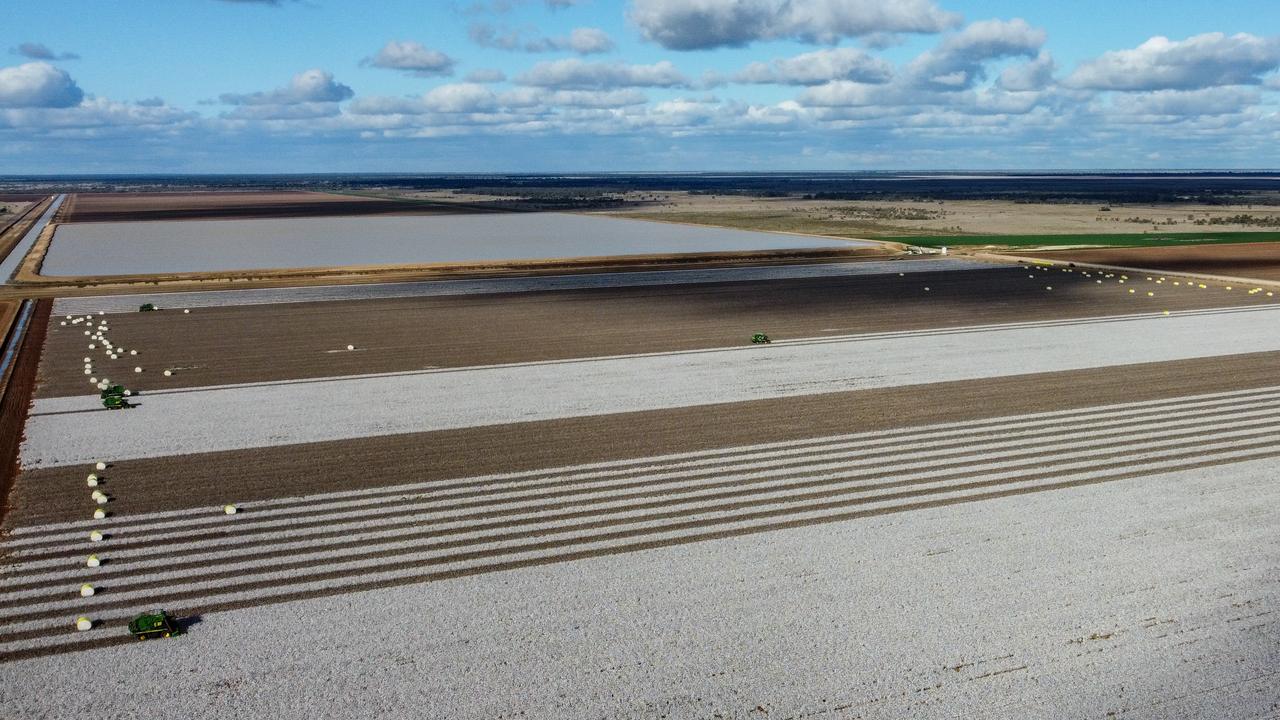 NSW Riverina cotton farm hits the market for $65m