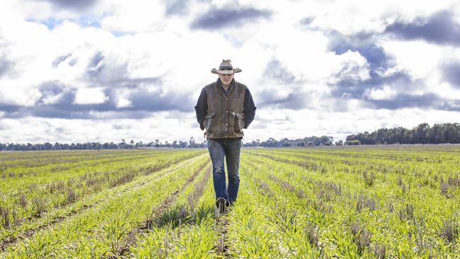 CROPS: Dusty Pascoe on farm at RaywoodPICTURED: Dusty Pascoe and his barley crop.Picture: Zoe Phillips