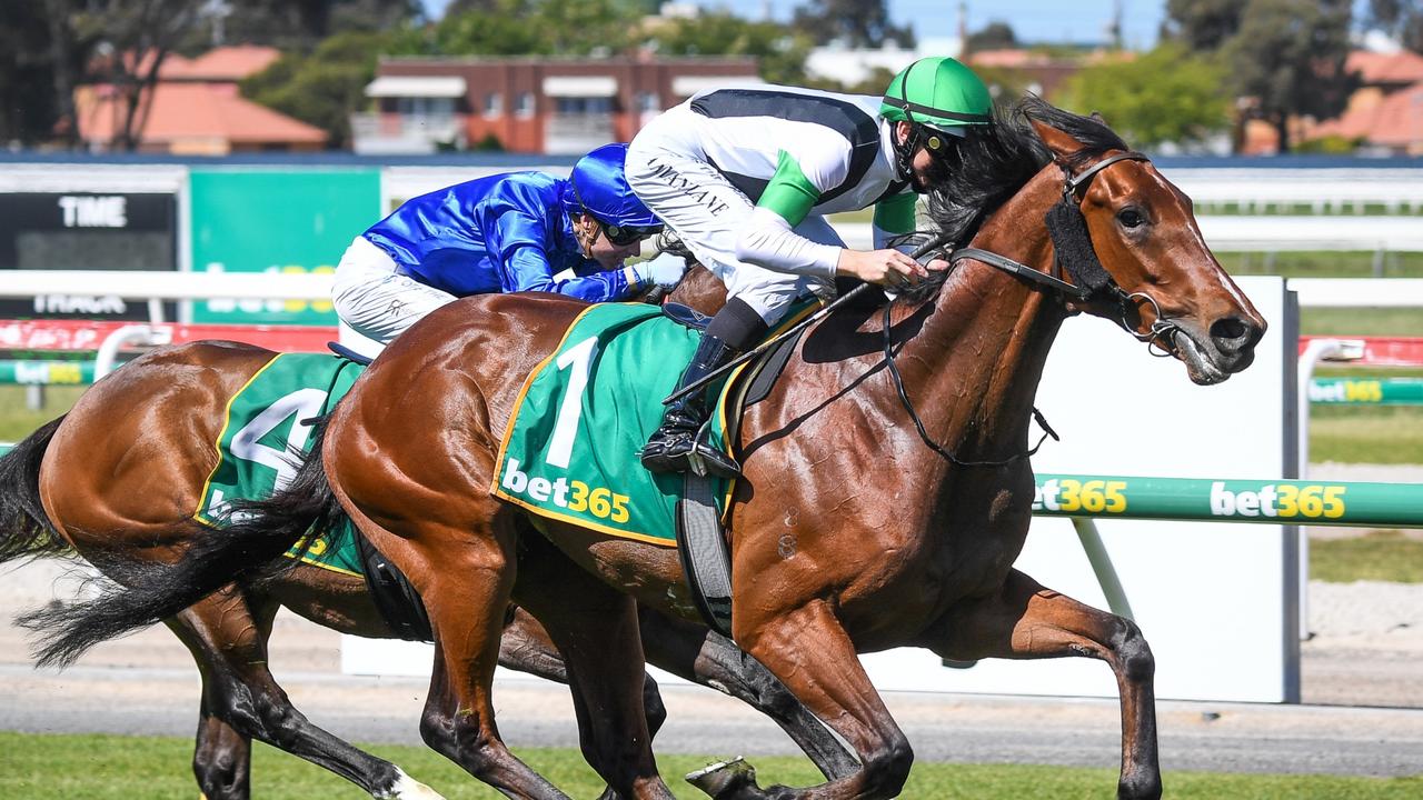 James McDonald is confident Tutukaka will run out the 2500m in the Derby. Picture: Racing Photos via Getty Images