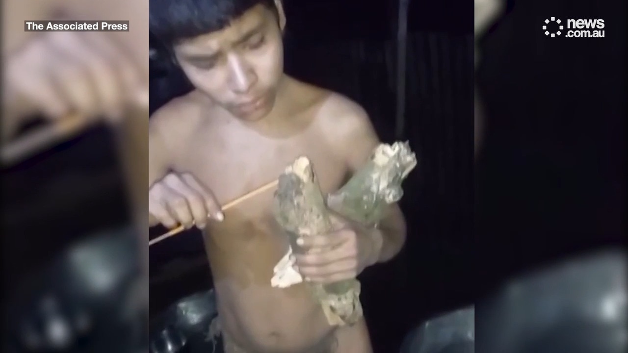 Isolated Indigenous Amazon man returns to his tribe after making brief contact