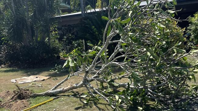 The tree at the front of Diane Morris' house has been destroyed. Picture: Facebook.