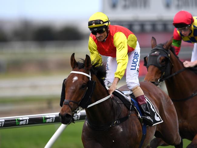 Jockey Robbie Fradd rides Shaolin Kungfu to win race 1, the Maiden Handicap, during the Aicla Raceday at Doomben racecourse in Brisbane, Wednesday, October 4, 2017. (AAP Image/Dan Peled) NO ARCHIVING, EDITORIAL USE ONLY