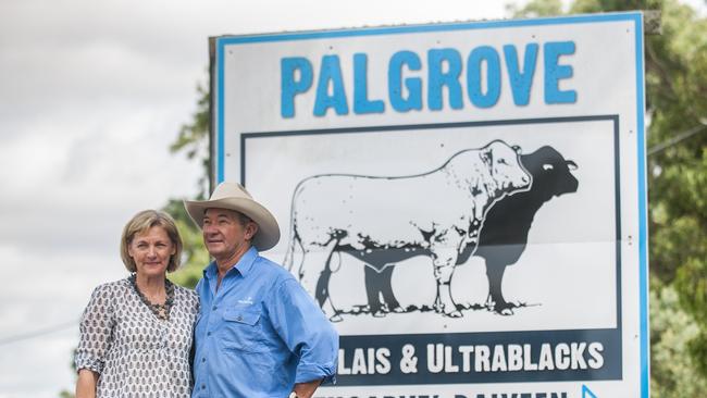 Bullish stocks: David and Prue Bondfield lead the way in cattle, with five properties covering 10,500 hectares across two states, selling 1000 bulls a year.