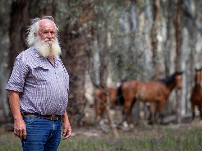 Former Barmah cattleman and forest officer for 40 years, Mick Caldwell, wants to save the forest’s brumbies. Picture: Mark Stewart