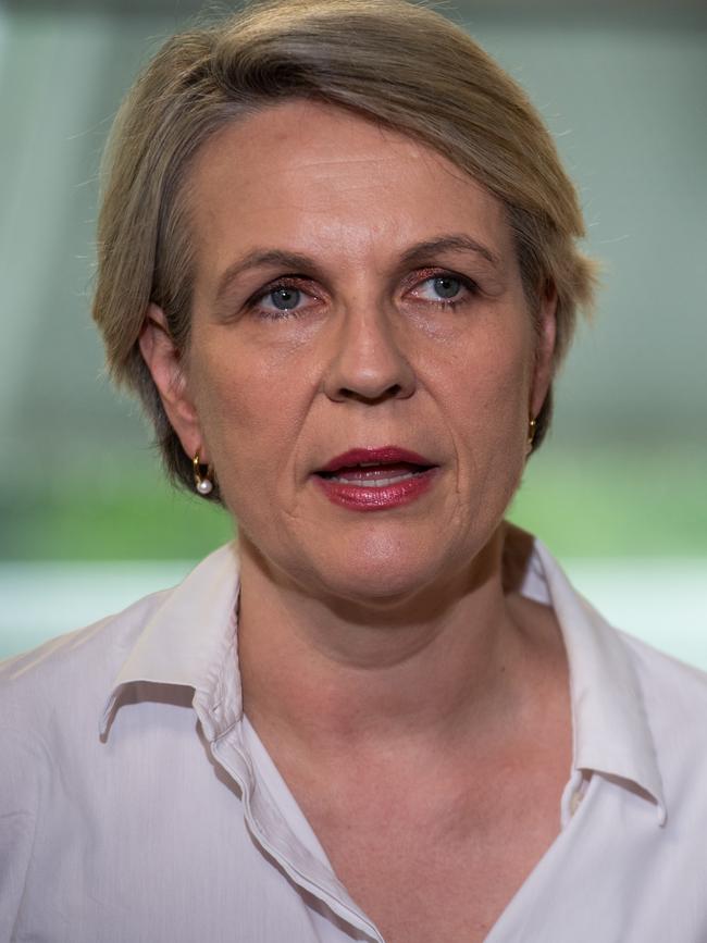 Environment Minister Tanya Plibersek. Picture: Pema Tamang Pakhrin