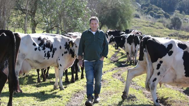 Picton's Country Valley owner John Fairley is overjoyed his Classic Cream has won at the NSW Produce Awards in the From the Dairy category.