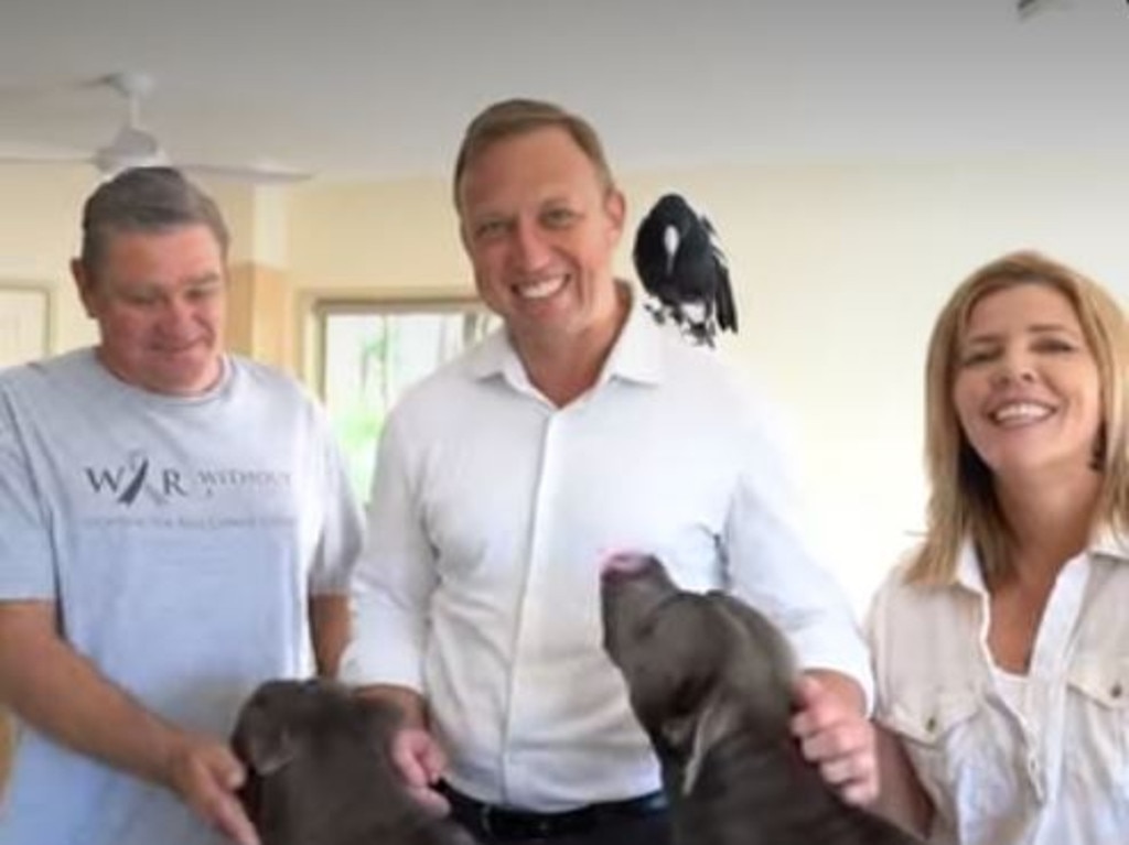 Former Queensland Premier Steven Miles at the Gold Coast home of Reece Mortensen and Juliette Wells in April with Molly the Magpie and dogs Peggy and Ruby. Picture: Steven Miles / Facebook.