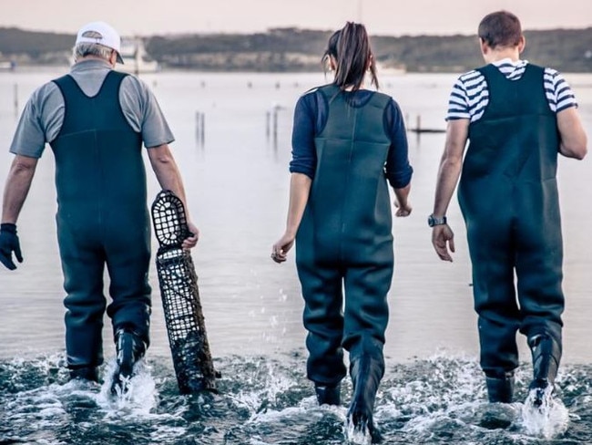 Coffin Bay oyster farmers checking their nets. Picture: SATC