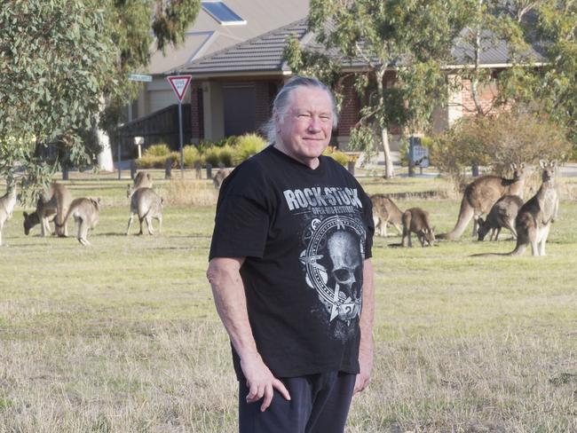 Mernda man William Sharp surrounded by kangaroos near his home.