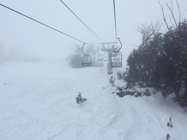 Not a skier in sight. This run was a haven in a blizzard for Ant and his family.