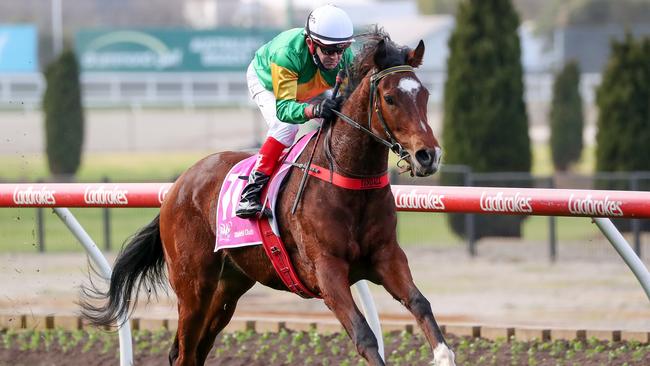 Yendall winning the Victorian Wakeful Club Lady Of Racing Handicap at Moonee Valley on July 31, 2021. Picture: George Salpigtidis