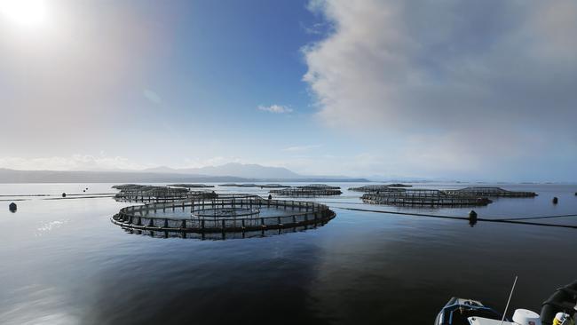 Tassal salmon pens, in Macquarie Harbour, Strahan, West Coast of Tasmania Picture: MATHEW FARRELL