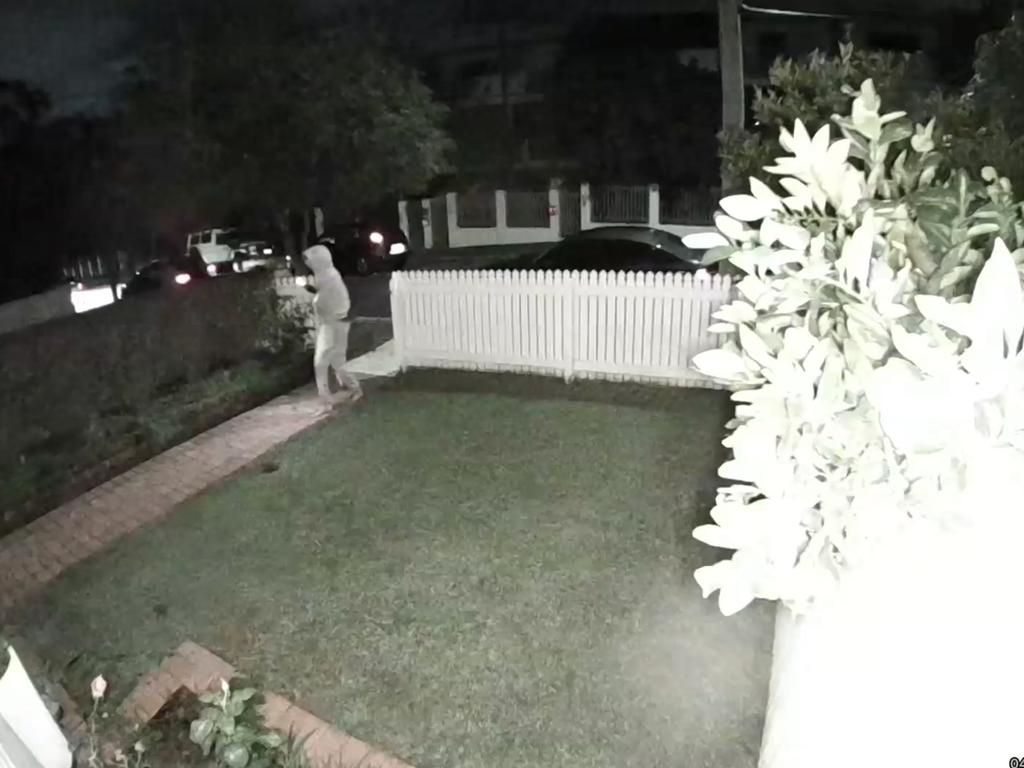 The group of four attempted to enter the home of Ms Bird but were quickly deterred by Teddy. Picture: Supplied