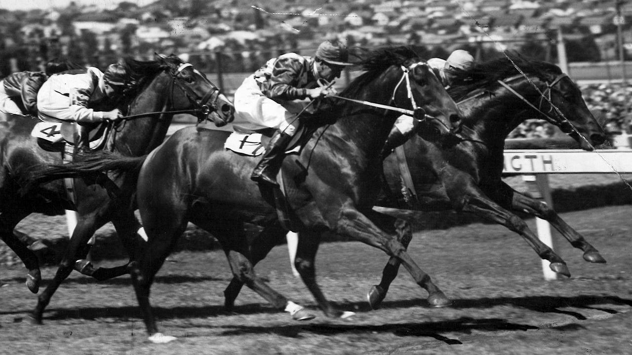 Comic Court charged home to narrowly defeat three-time winner Flying Halo in the 1951 William Reid Stakes.