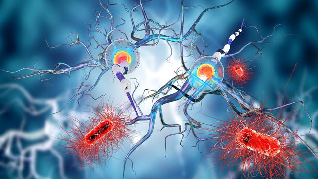 3d illustration of nerve cells, concept for Neurological Diseases, tumors and brain surgery.