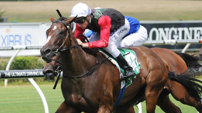 Talented filly English resumes in the Challenge Stakes. Picture: Simon Bullard
