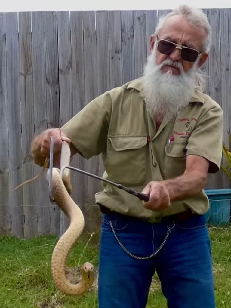 Darling Downs Snake Catchers 24/7 owner Gunter Glaser on the job. Picture: Contributed